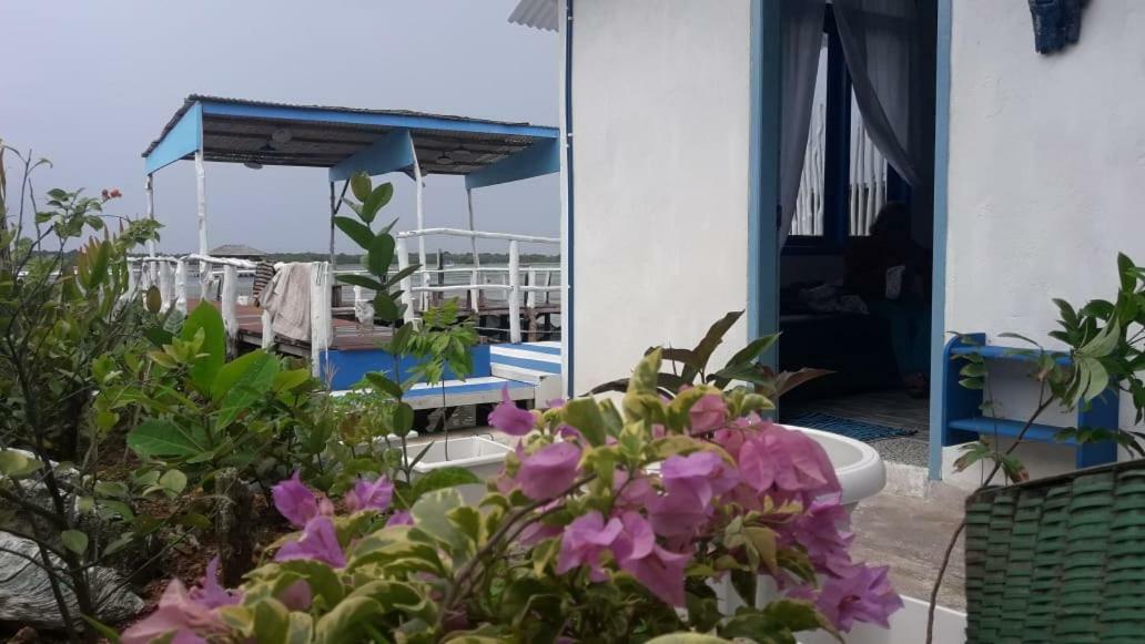 Blue Coral Homestay Карімунджава Екстер'єр фото